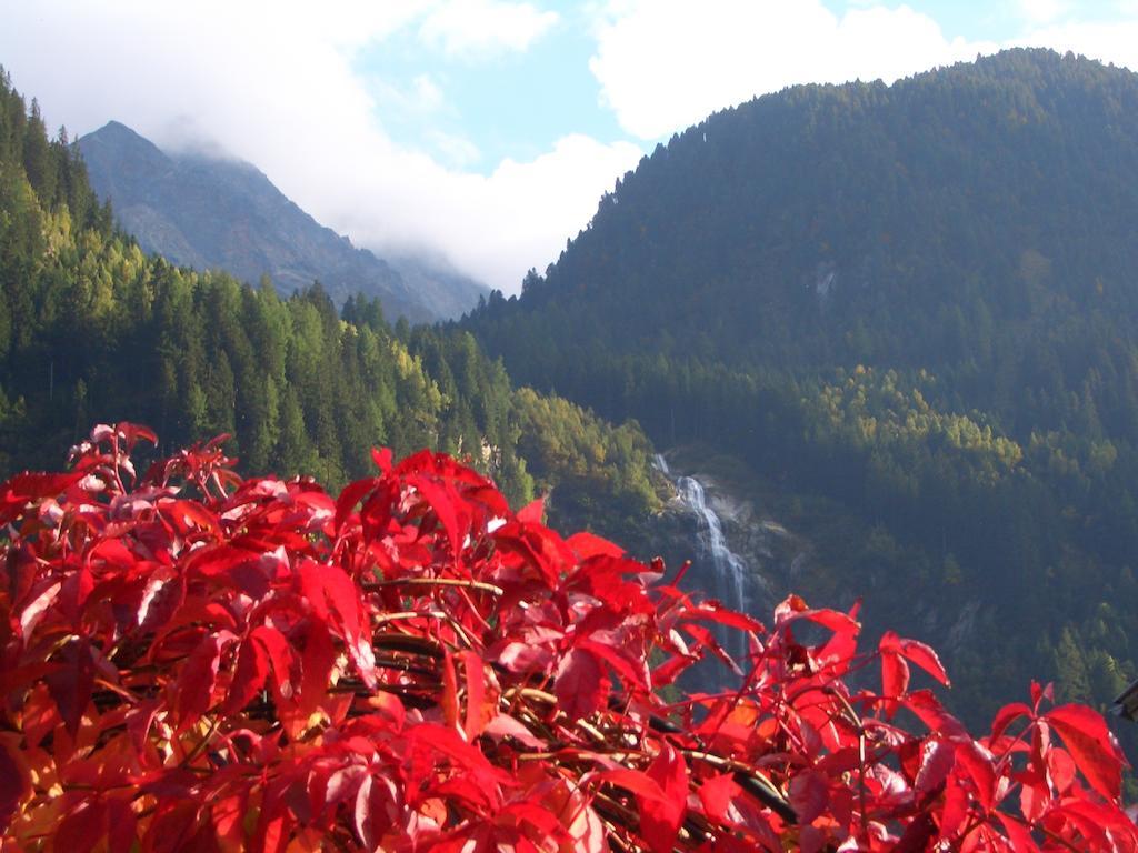 Schneiterhof - Der Frei-raum * Neustift im Stubaital