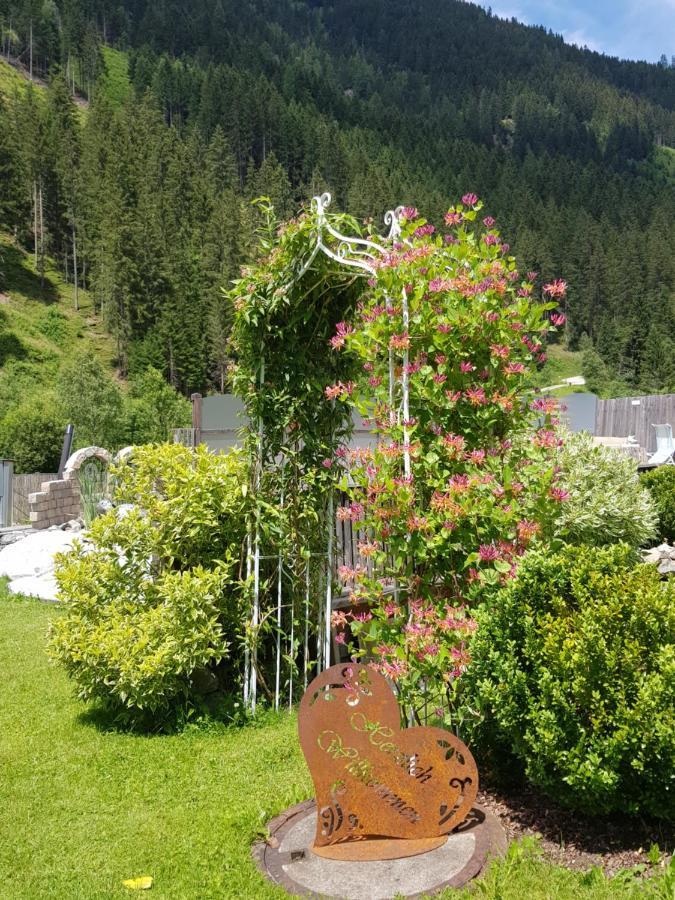 Schneiterhof - Der Frei-raum Appartement *